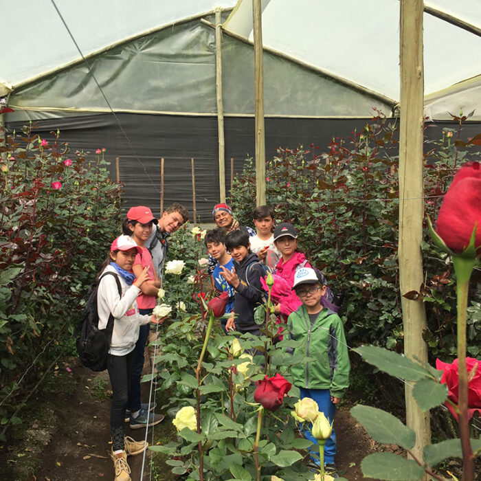 Hacienda-Las-Cuevas-Ecolodge-Experience-Actividad-Rosas-1