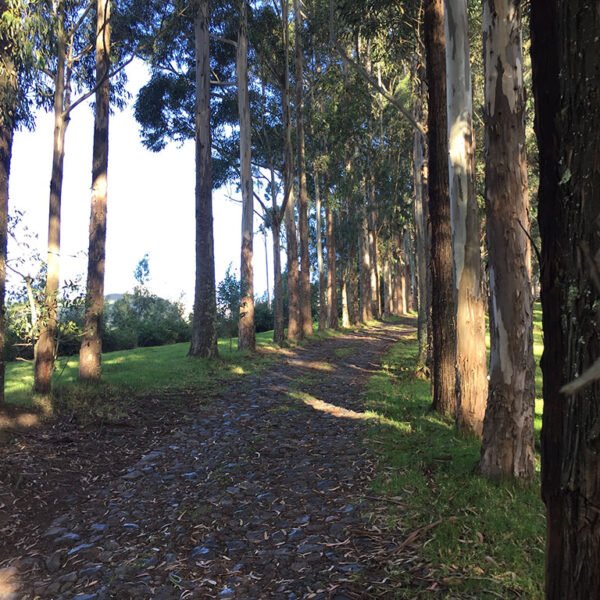 Hacienda-Las-Cuevas-Ecolodge-Experience-Actividad-Senderismo-2