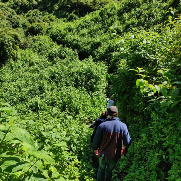 Hacienda-Las-Cuevas-Ecolodge-Experience-Actividad-Senderismo-4