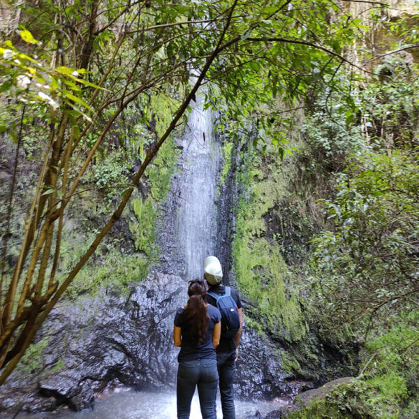 Hacienda-Las-Cuevas-Ecolodge-Experience-Actividad-Senderismo-5